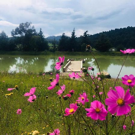 Cabanas Tapalpa Sierra Del Tecuan, Cabana Lince Екстер'єр фото