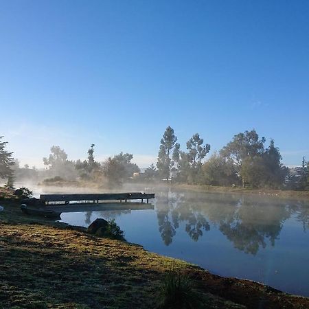 Cabanas Tapalpa Sierra Del Tecuan, Cabana Lince Екстер'єр фото