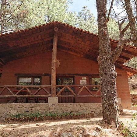 Cabanas Tapalpa Sierra Del Tecuan, Cabana Lince Екстер'єр фото