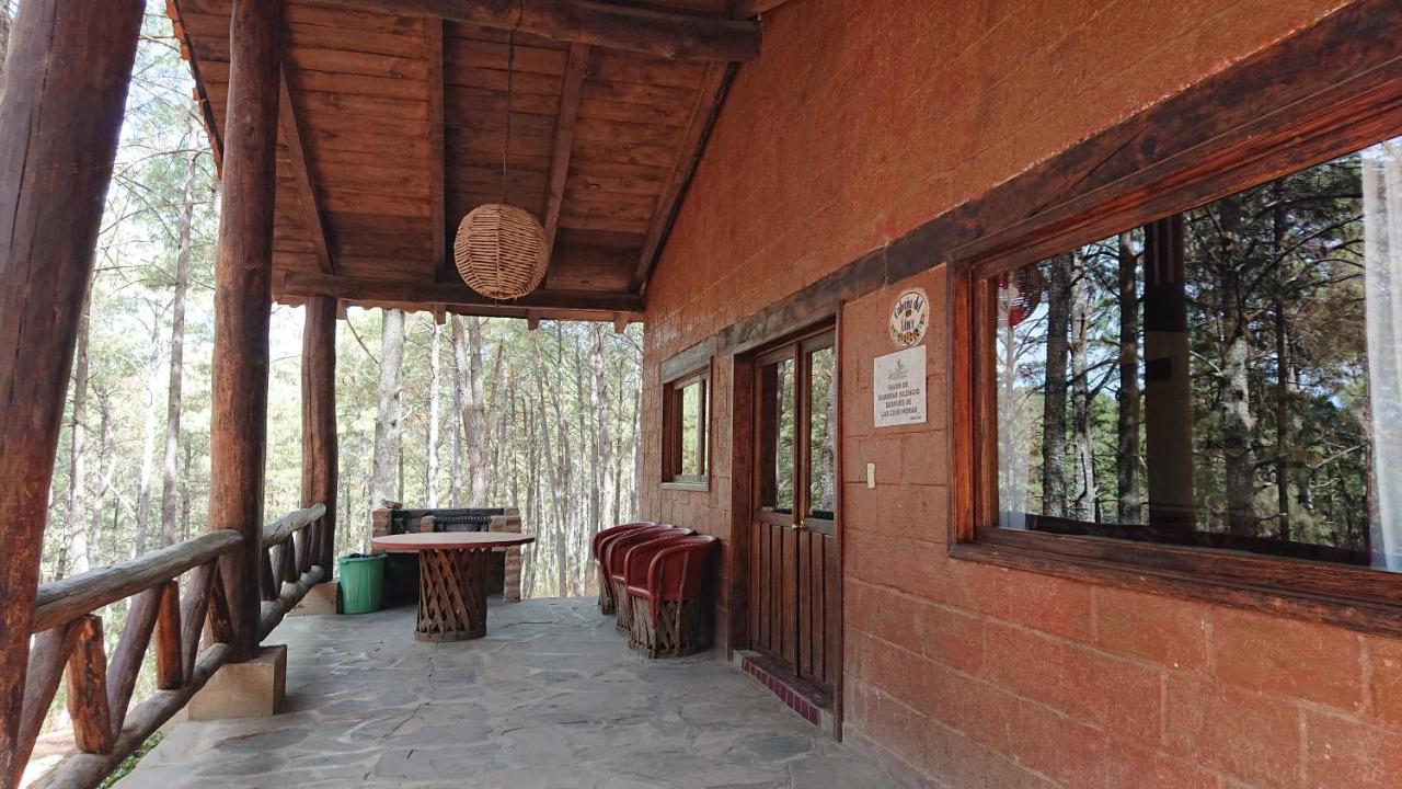 Cabanas Tapalpa Sierra Del Tecuan, Cabana Lince Екстер'єр фото