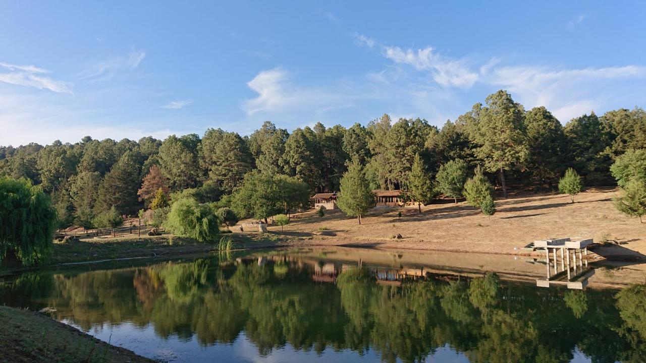 Cabanas Tapalpa Sierra Del Tecuan, Cabana Lince Екстер'єр фото