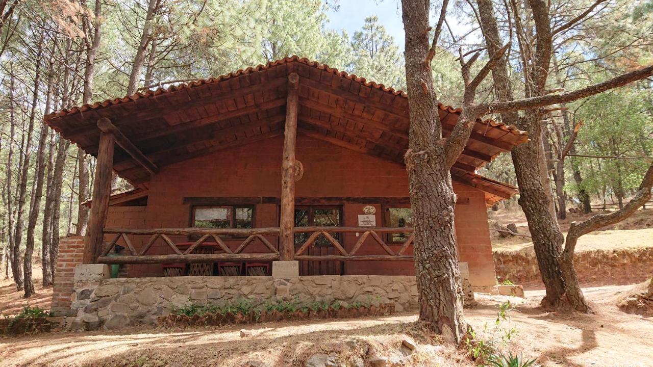 Cabanas Tapalpa Sierra Del Tecuan, Cabana Lince Екстер'єр фото