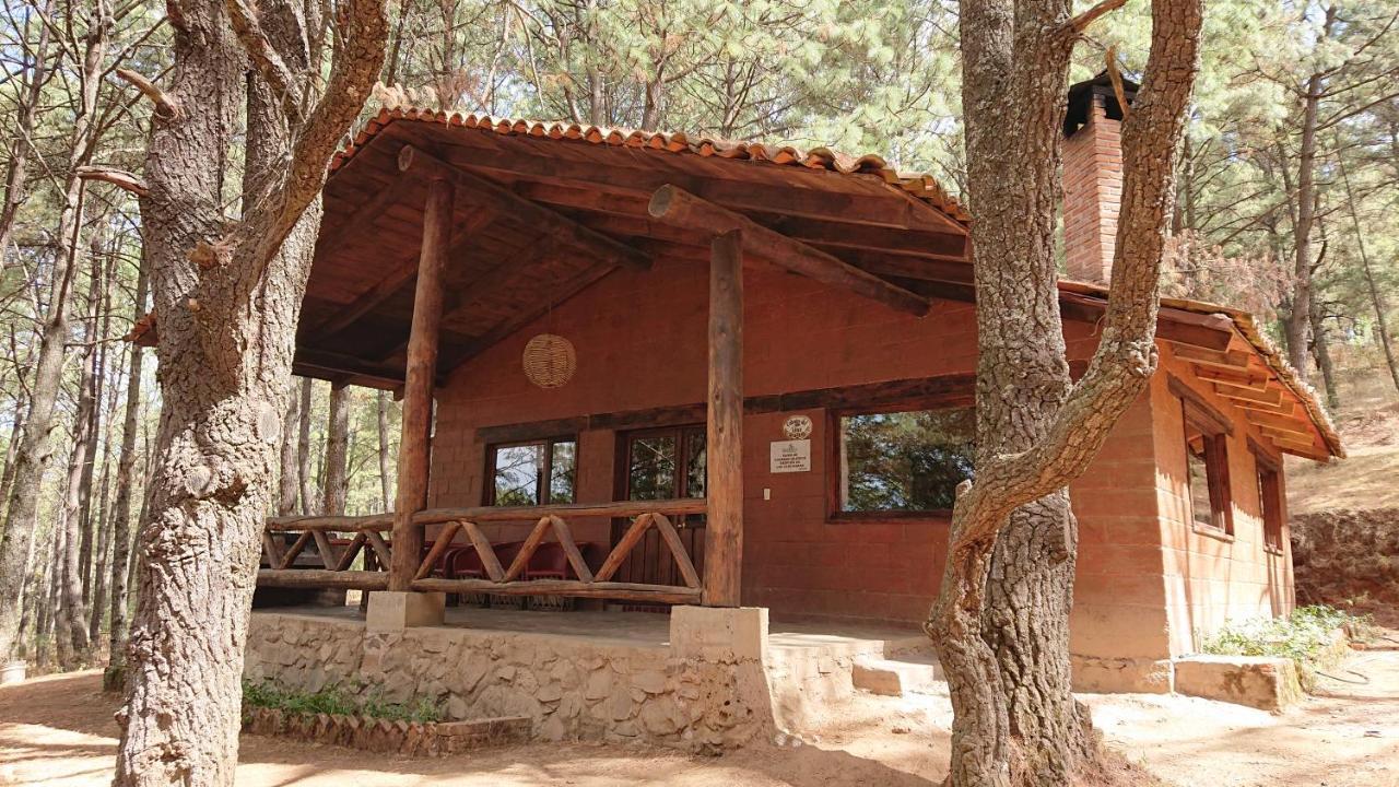 Cabanas Tapalpa Sierra Del Tecuan, Cabana Lince Екстер'єр фото